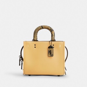 Coach Rogue 17 With Snakeskin Detail Azules Gris | COH865346