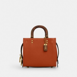 Coach Rogue 20 In Regenerative Leather With Snakeskin Detail Marrones | COH865341